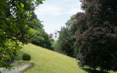 Schlosspark Andelfingen