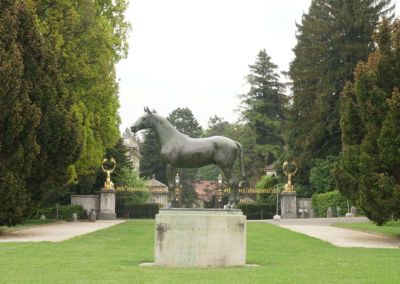 wenkenhof-047